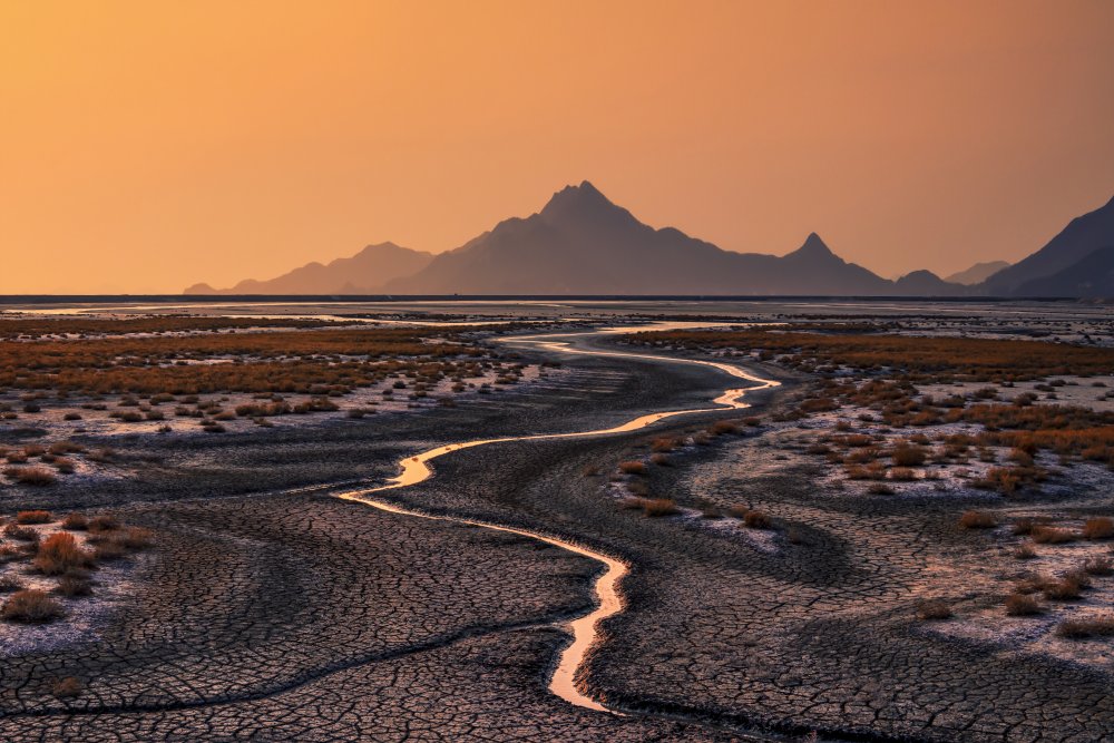 Drought von Tiger Seo