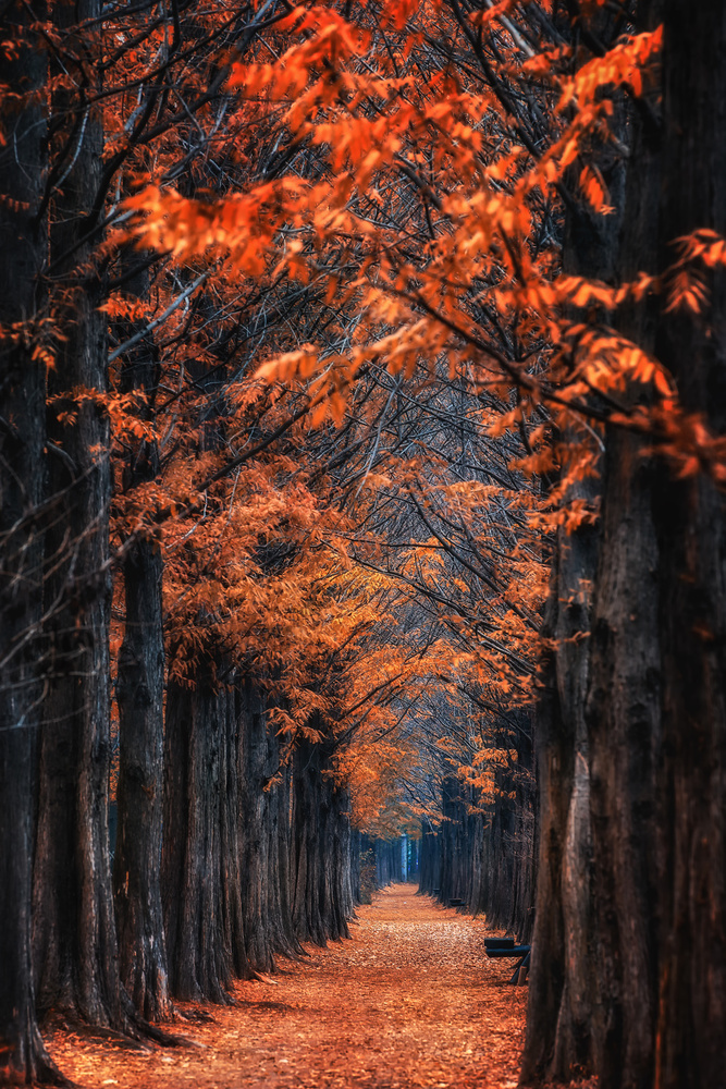 way to winter von Tiger Seo