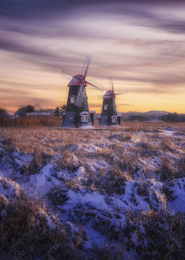 Winter morning von Tiger Seo