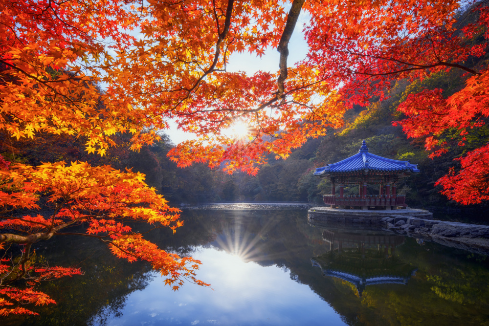 Woowha pavilion von Tiger Seo