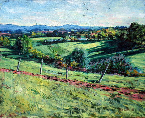 Blackdown View von Tilly  Willis