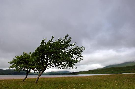 Schottisches Hochland von Tim Brakemeier