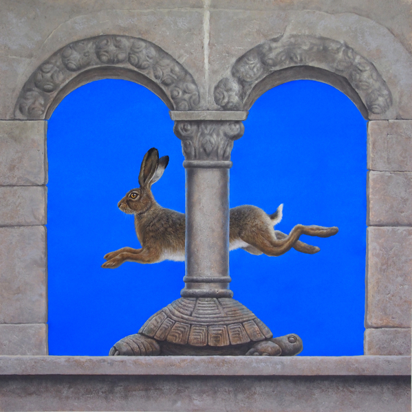 The Hare and the Tortoise von Tim Hayward