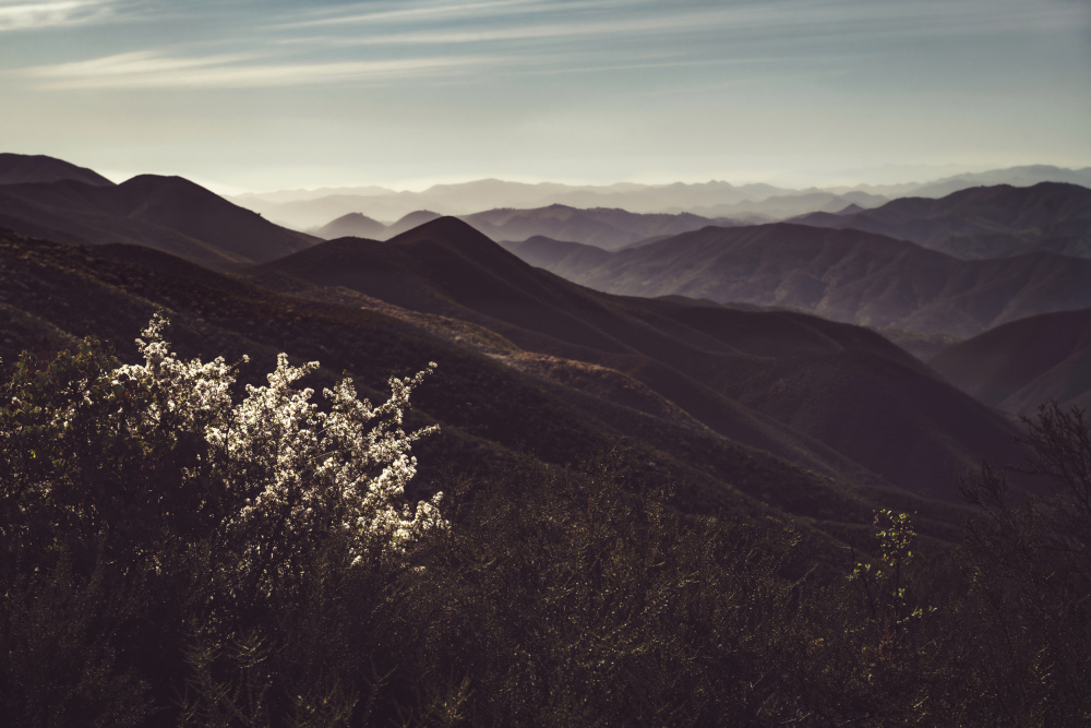 Vista of Hills von Tim Mossholder