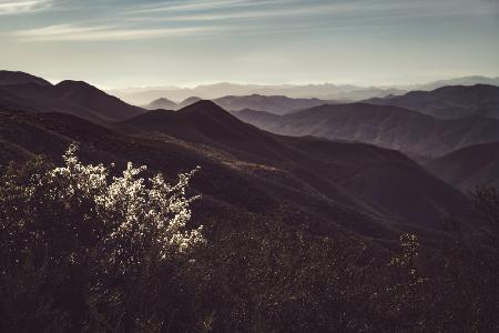 Vista of Hills