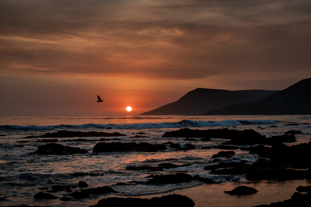 Orange Sunset von Tim Mossholder