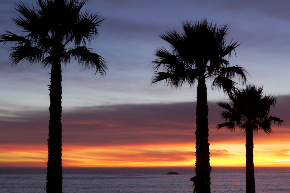 Palms at Sunset von Tim Mossholder