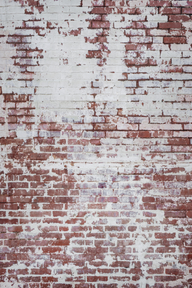 Brick Wall von Tim Mossholder