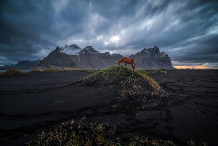 Vestrahorn