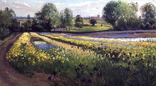 Iris Slope, 1991  von Timothy  Easton