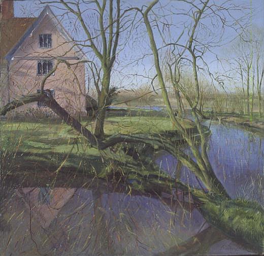 Sprouting Willow Tree von Timothy  Easton