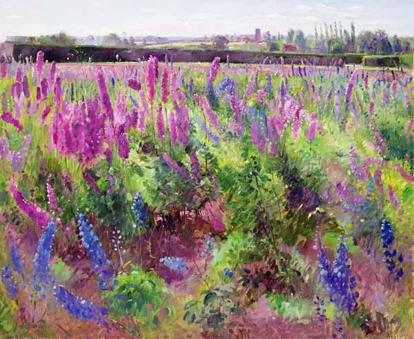 The Delphinium Field, 1991  von Timothy  Easton