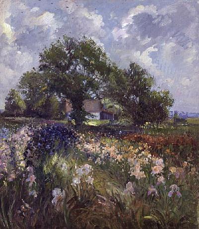 White Barn and Iris Field  von Timothy  Easton