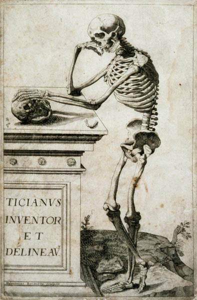 Anatomical study von Tizian (Tiziano Vercellio/ Titian)