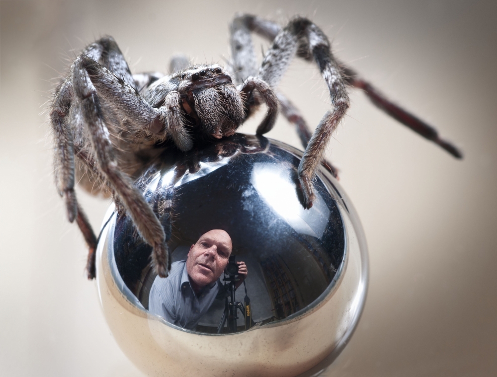 Self-Portrait with Spider von TJ Millar