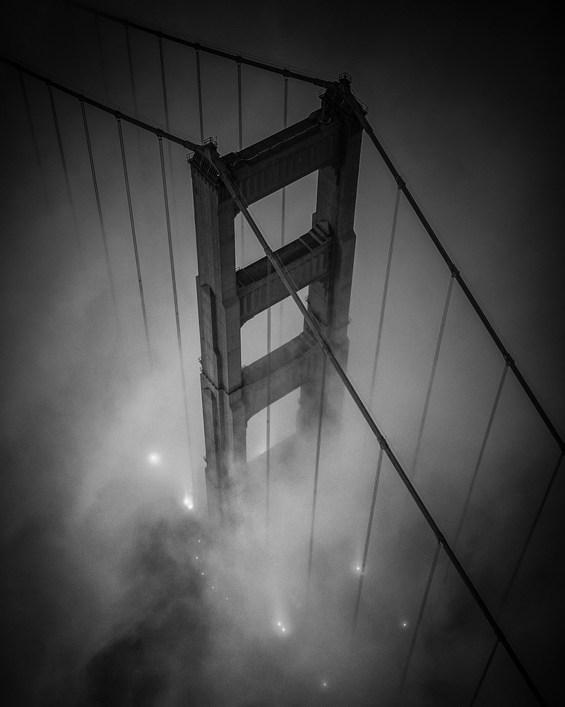 Golden Black von Toby Harriman