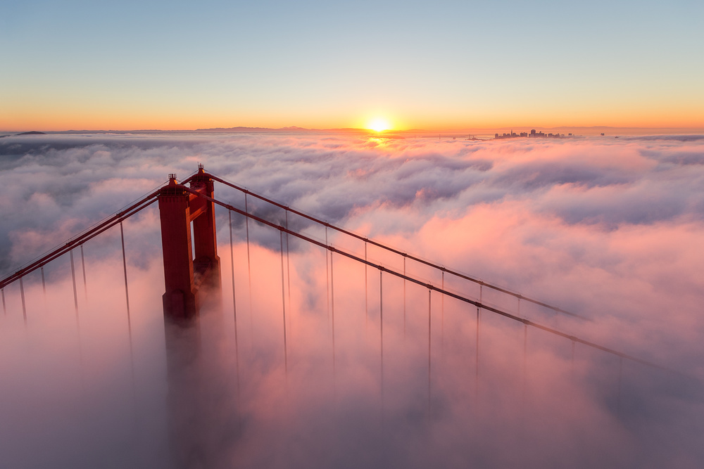 Monday Mornings von Toby Harriman