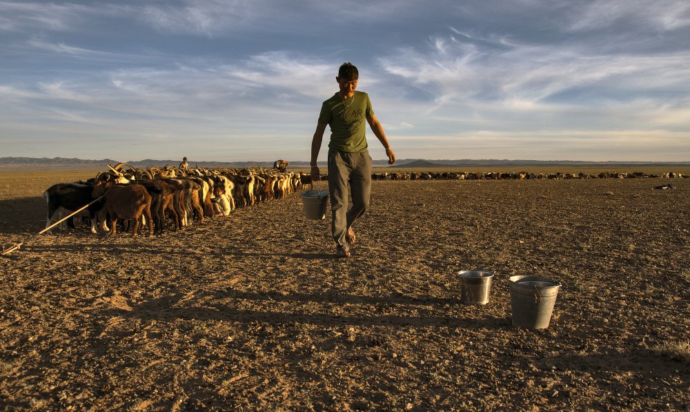 Gobi desert von Tolga Ozdemir