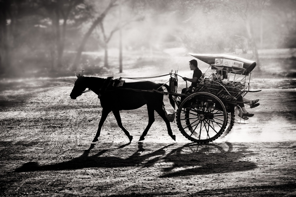 Dusty Horse Ride von Tom Baetsen - xlix.nl