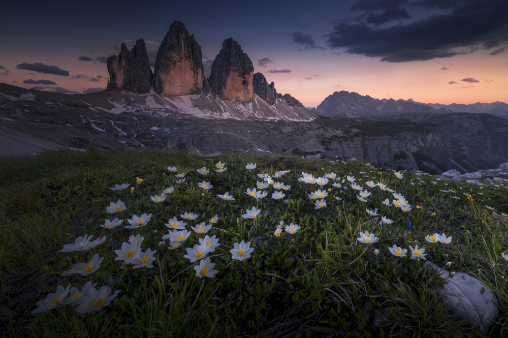 Tre Cime von Tom Meier