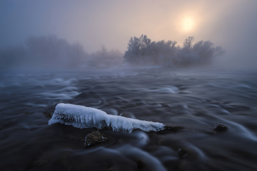 Frozen von Tom Meier