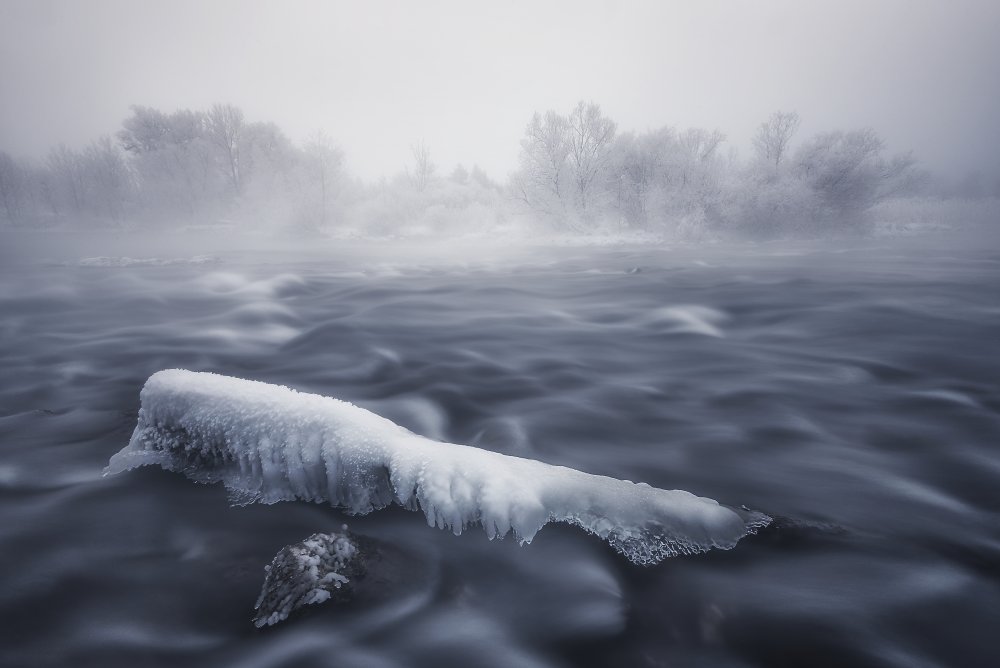 Frozen trunk von Tom Meier