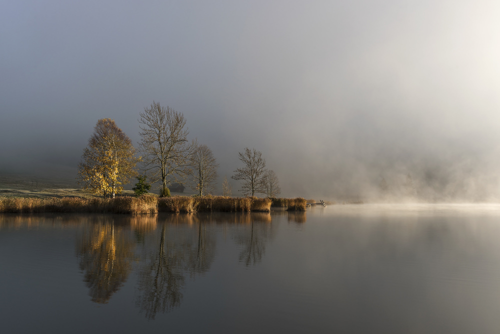 Foggy Morning von Tom Meier