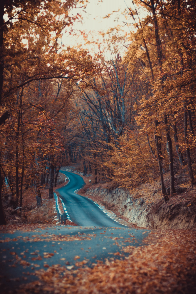 Road in forest autumn beautiful colors von Toma Georgian Mihai