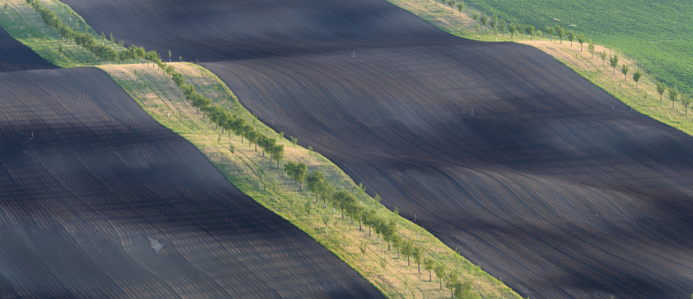 Moravian strips von Tomas Frolec