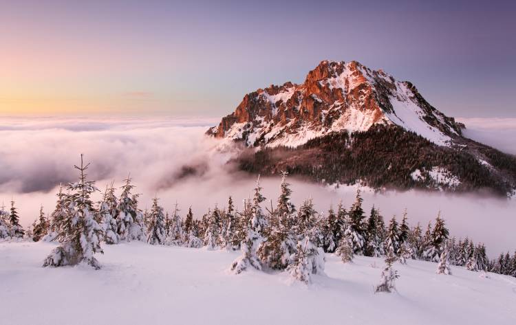 Rozsutec peak von Tomas Sereda