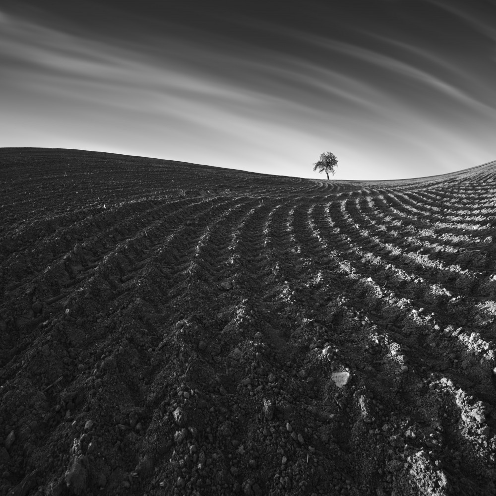 Field lines von Tomas Tison