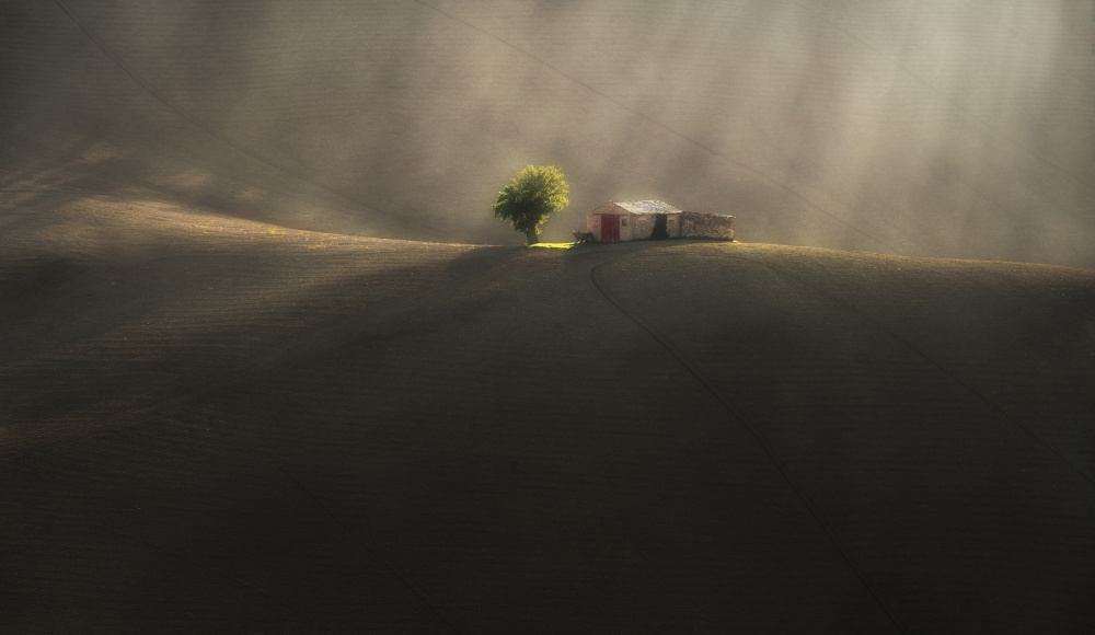 On the rolling hills von Tomasz Rojek