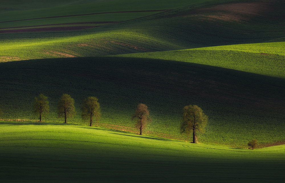 The family II von Tomasz Rojek