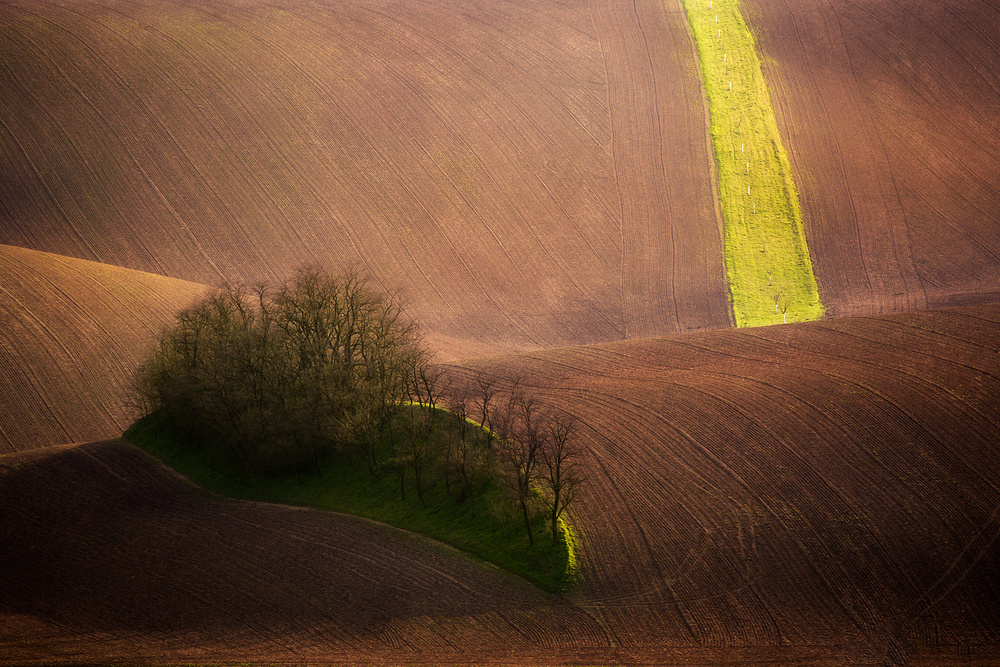 Rolling hills von Tomasz Rojek