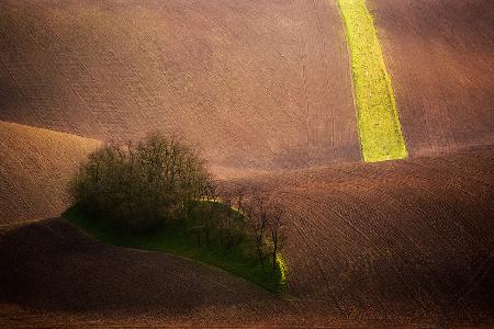 Rolling hills