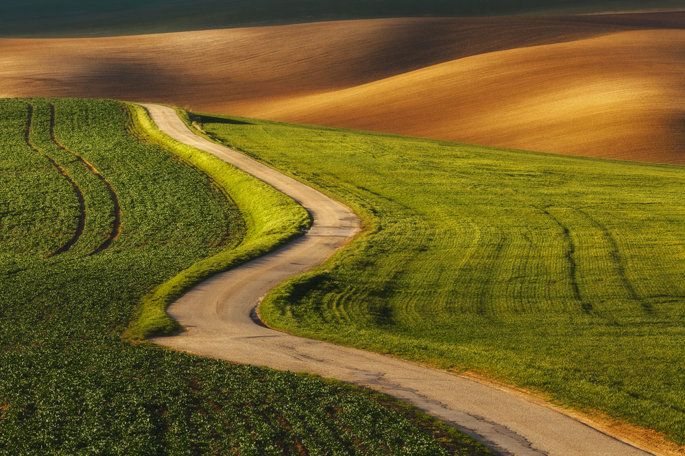 My path von Tomasz Rojek