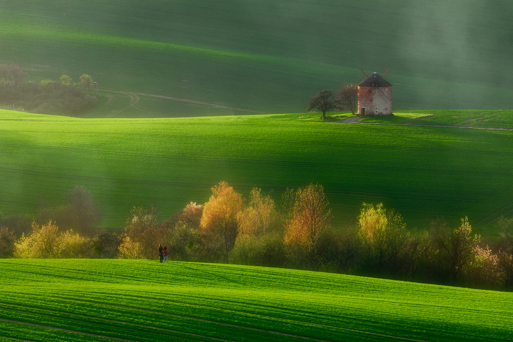 Millwind von Tomasz Rojek