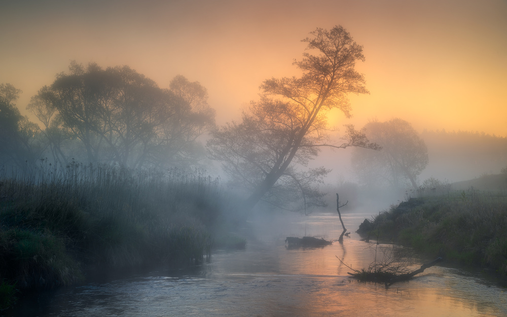 Misty river von Tomasz Rojek