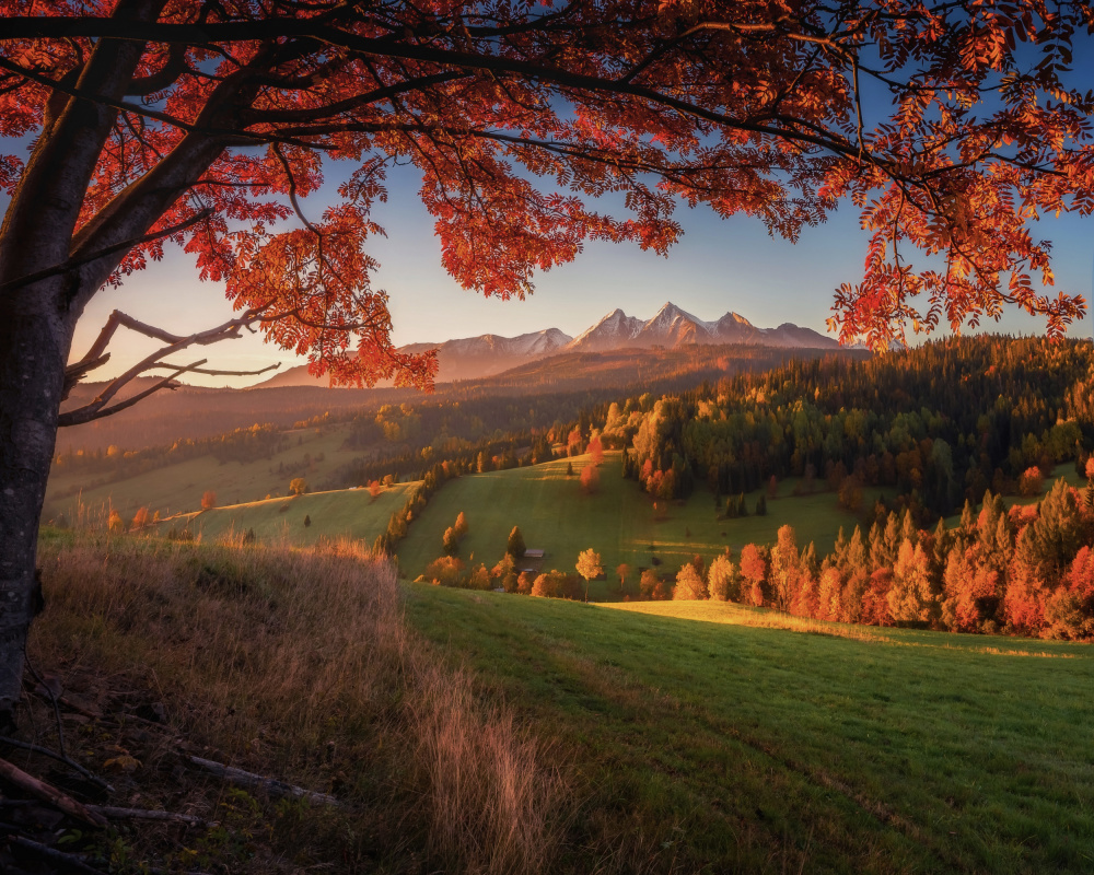 Autumn under Tatra Mountains von TomaszOryszczakPhotography