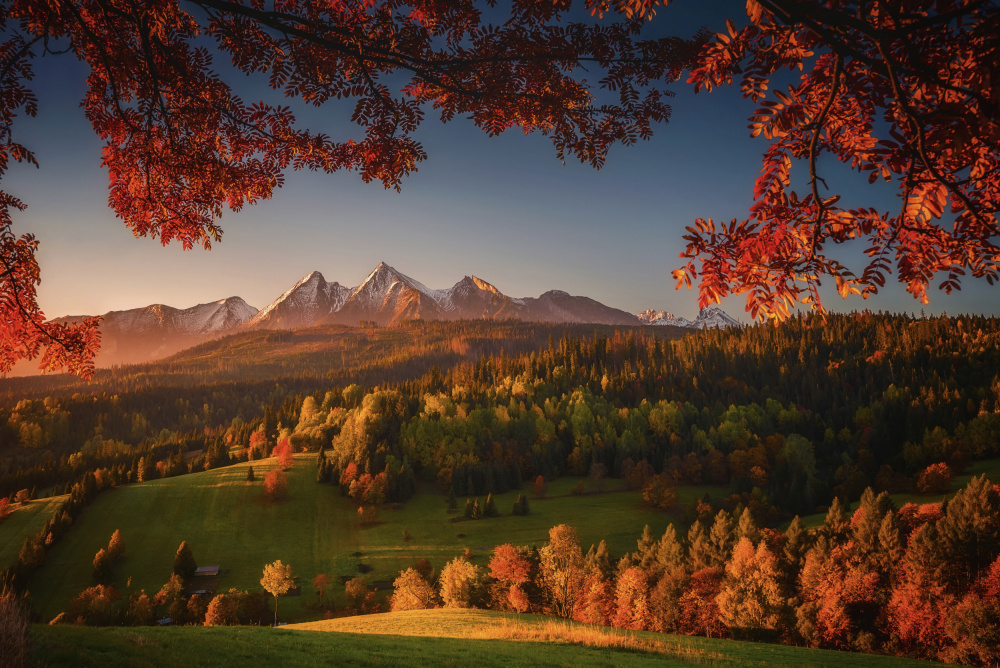 Idyllic morning von TomaszOryszczakPhotography