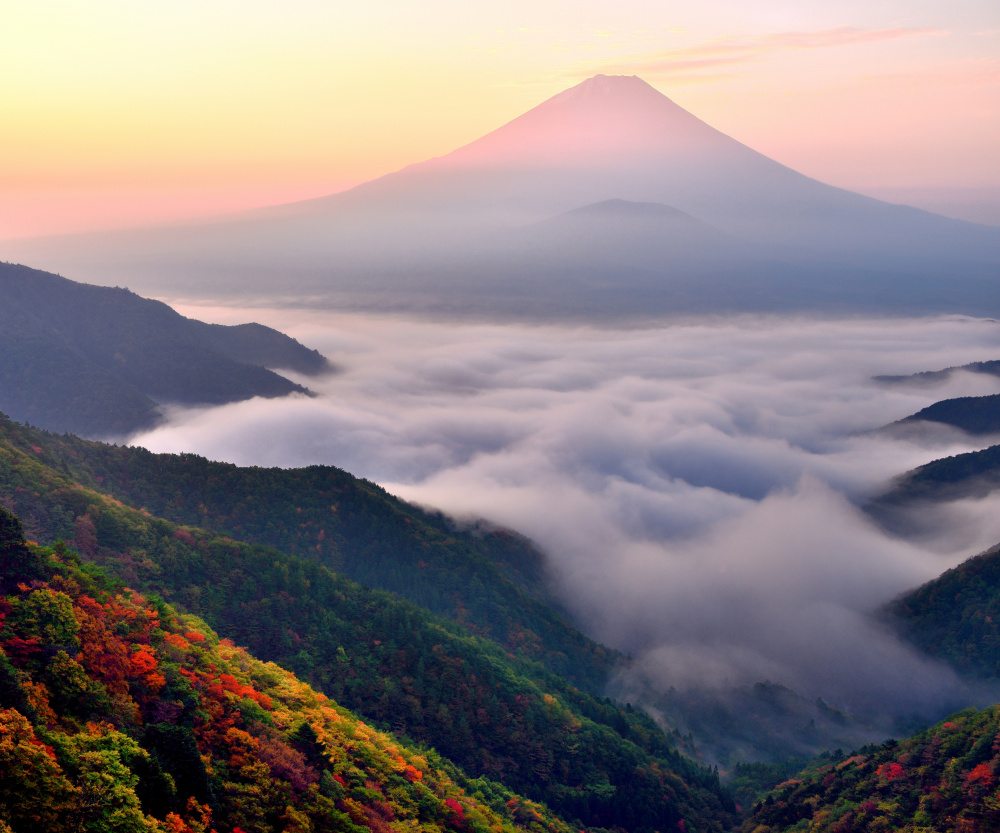 Shallow Fog von Tomoaki Matsushita