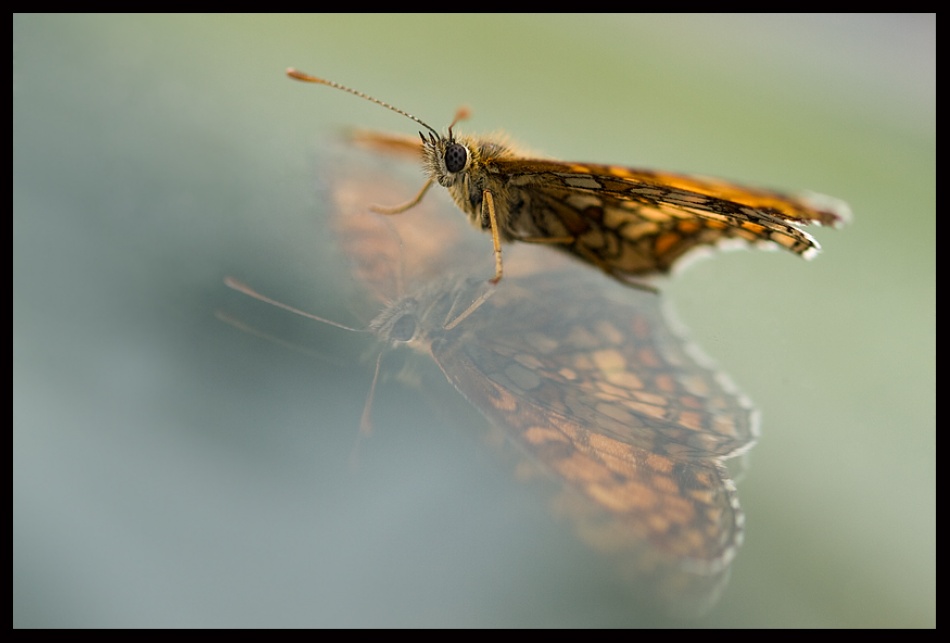 In the mirror von Toni Hanzek