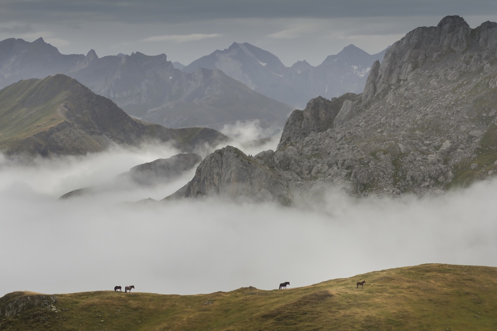 Living on the edge von TONY GORAN