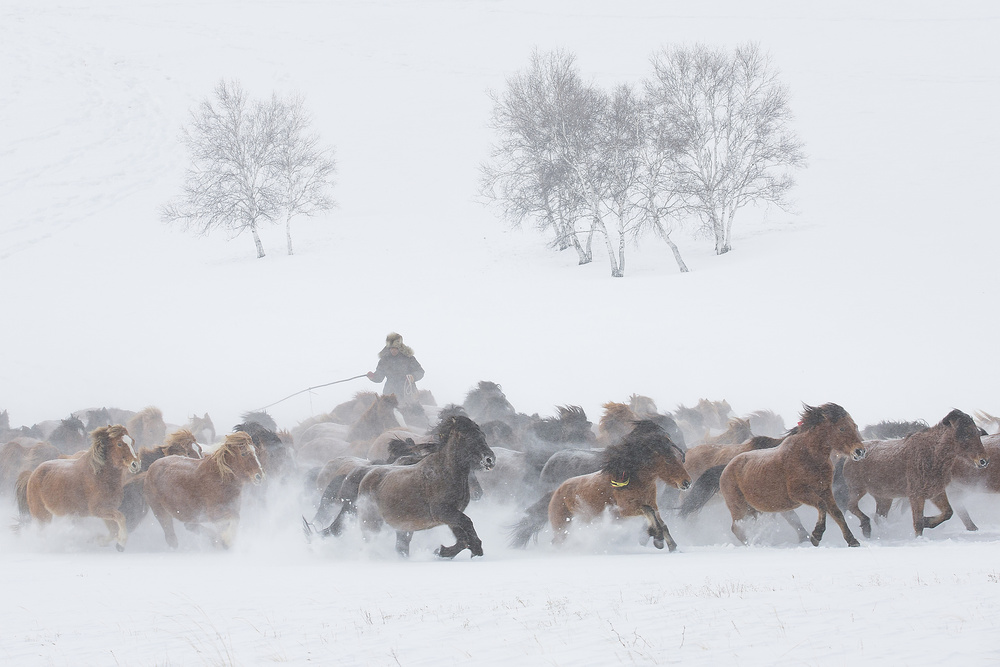 Winter Pasture von TonyXu