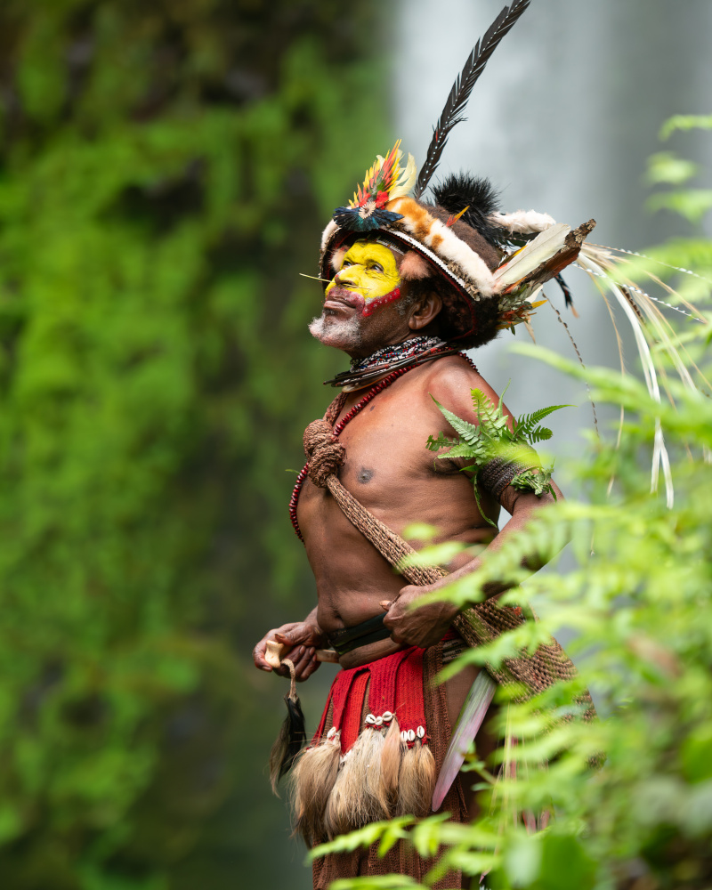 Huli Wigman by the Waterfall von Tori E Bohn