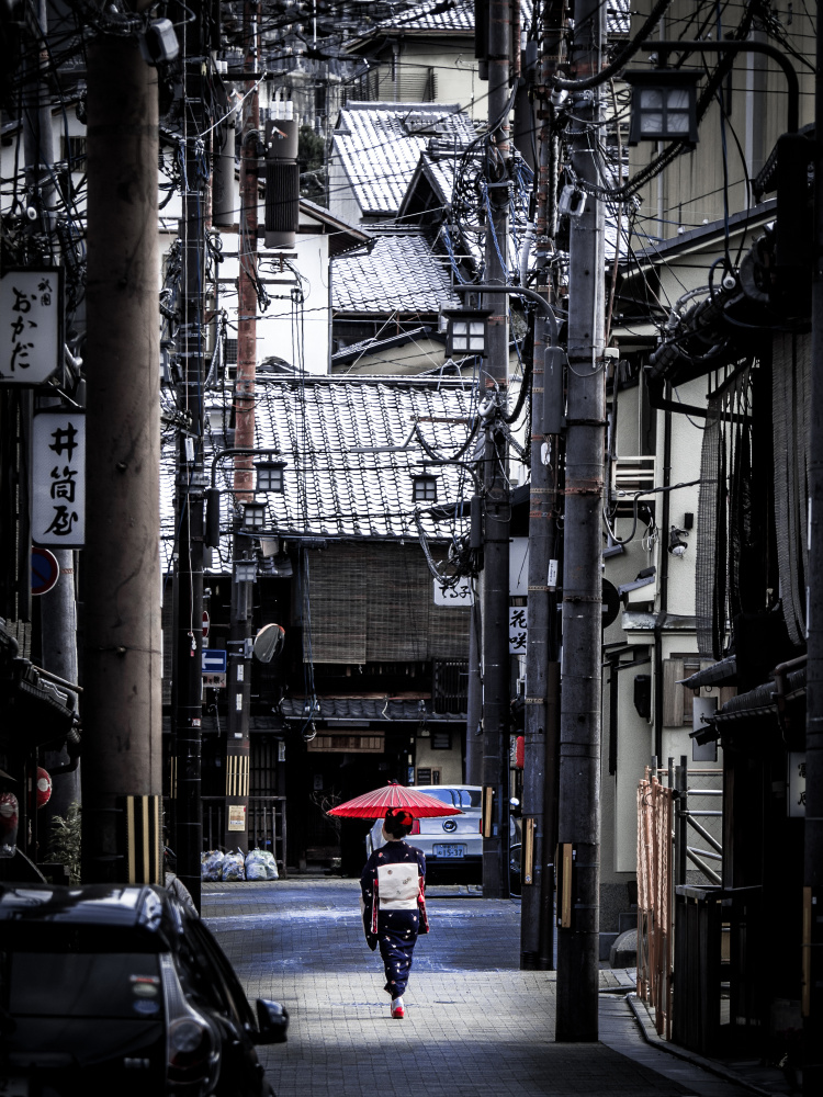 Walking in snowy morning von toru hamano