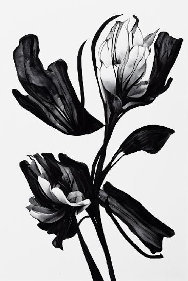 Black Flower