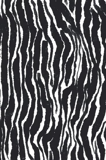 Zebra Pattern