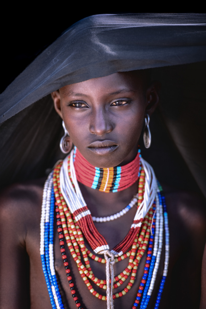 Arbore allure von Trevor Cole