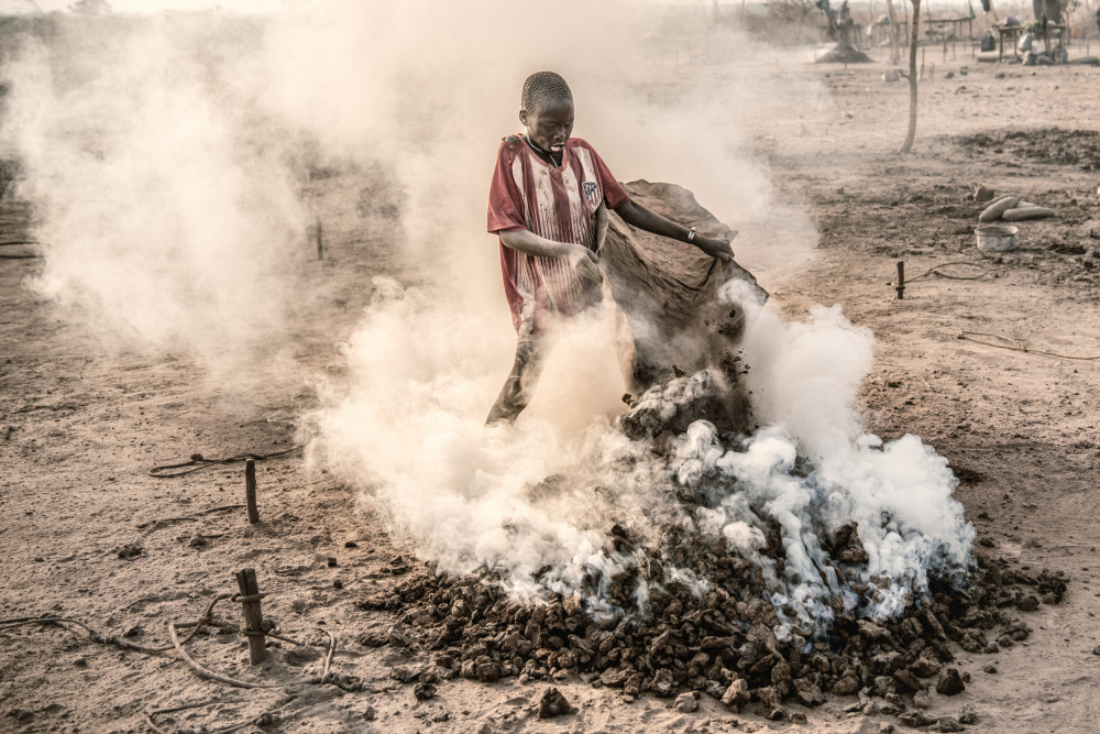 The essence of their existence von Trevor Cole